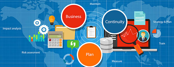 Business Continuity Plan Management Strategy Assesment