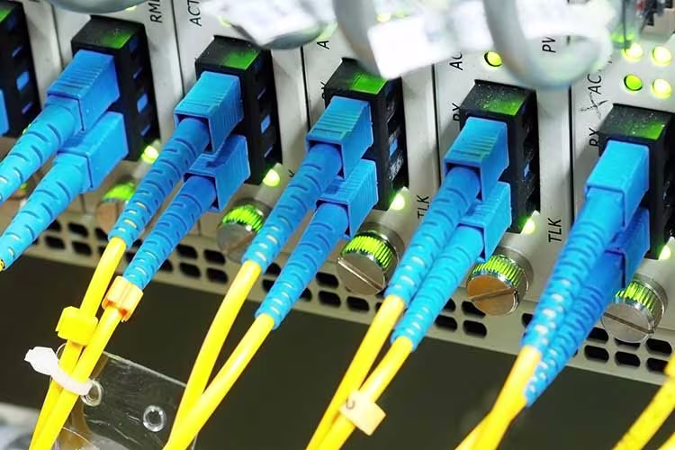 Network cables plugged into a device