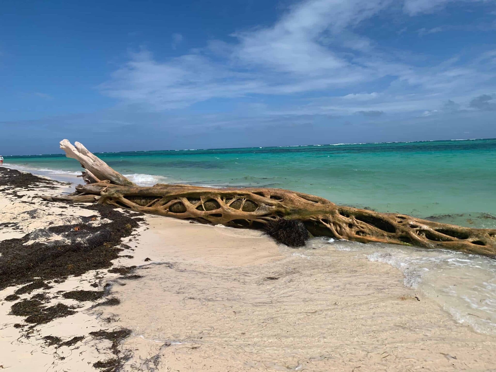 Beautiful Punta Cana beach